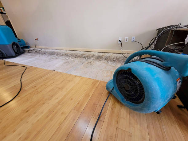 Reliable Basement Flood Cleanup contractor in Victorville, CA by Hirex Water Damage